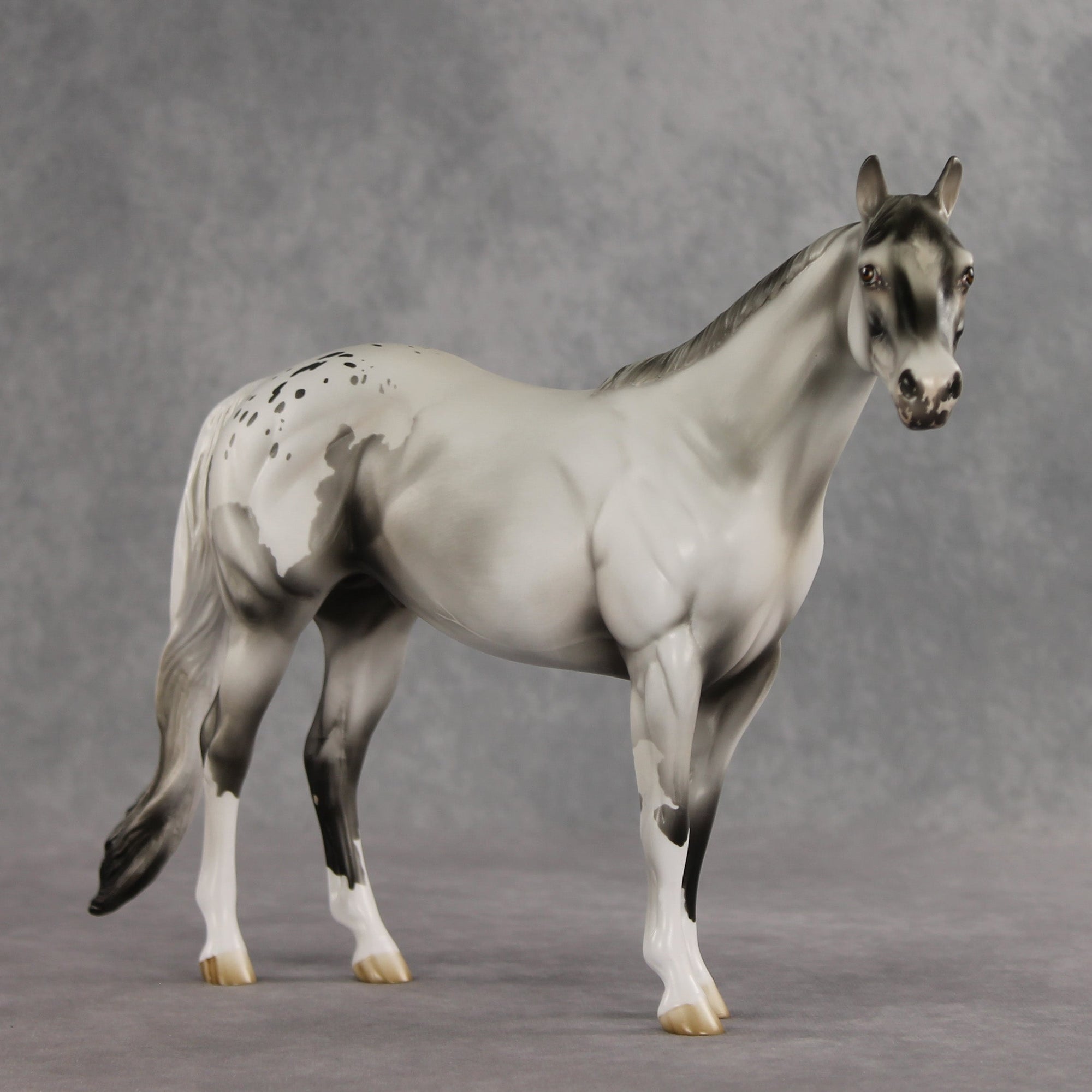 Cloud of Smoke OOAK Ideal Stock Horse by Jess Hamill VV26