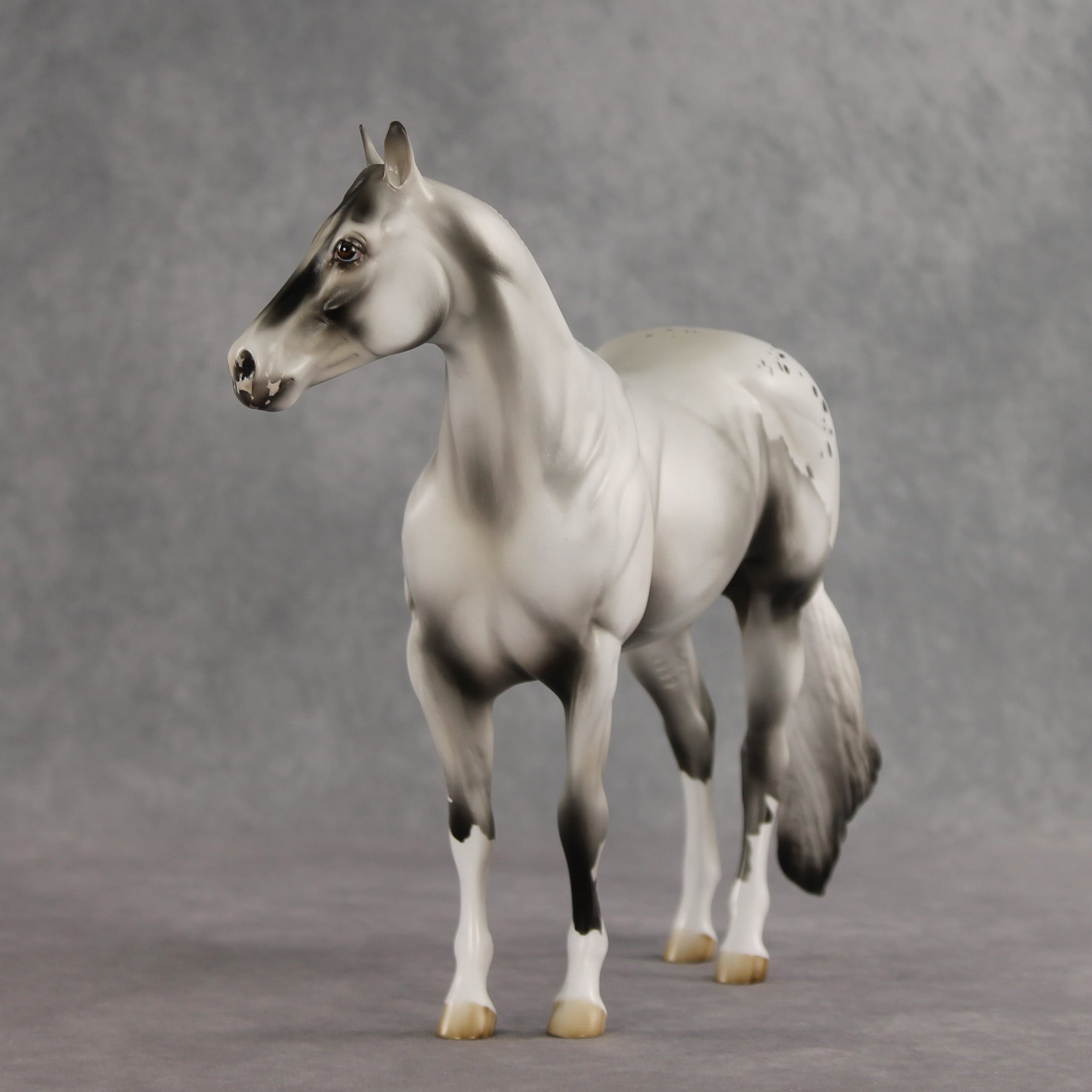 Cloud of Smoke OOAK Ideal Stock Horse by Jess Hamill VV26