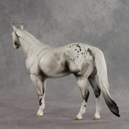 Cloud of Smoke OOAK Ideal Stock Horse by Jess Hamill VV26