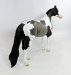 COACH-OOAK NC BLUE ROAN PAINT ISH MODEL HORSE 2/5/17