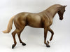 Thoroughbred