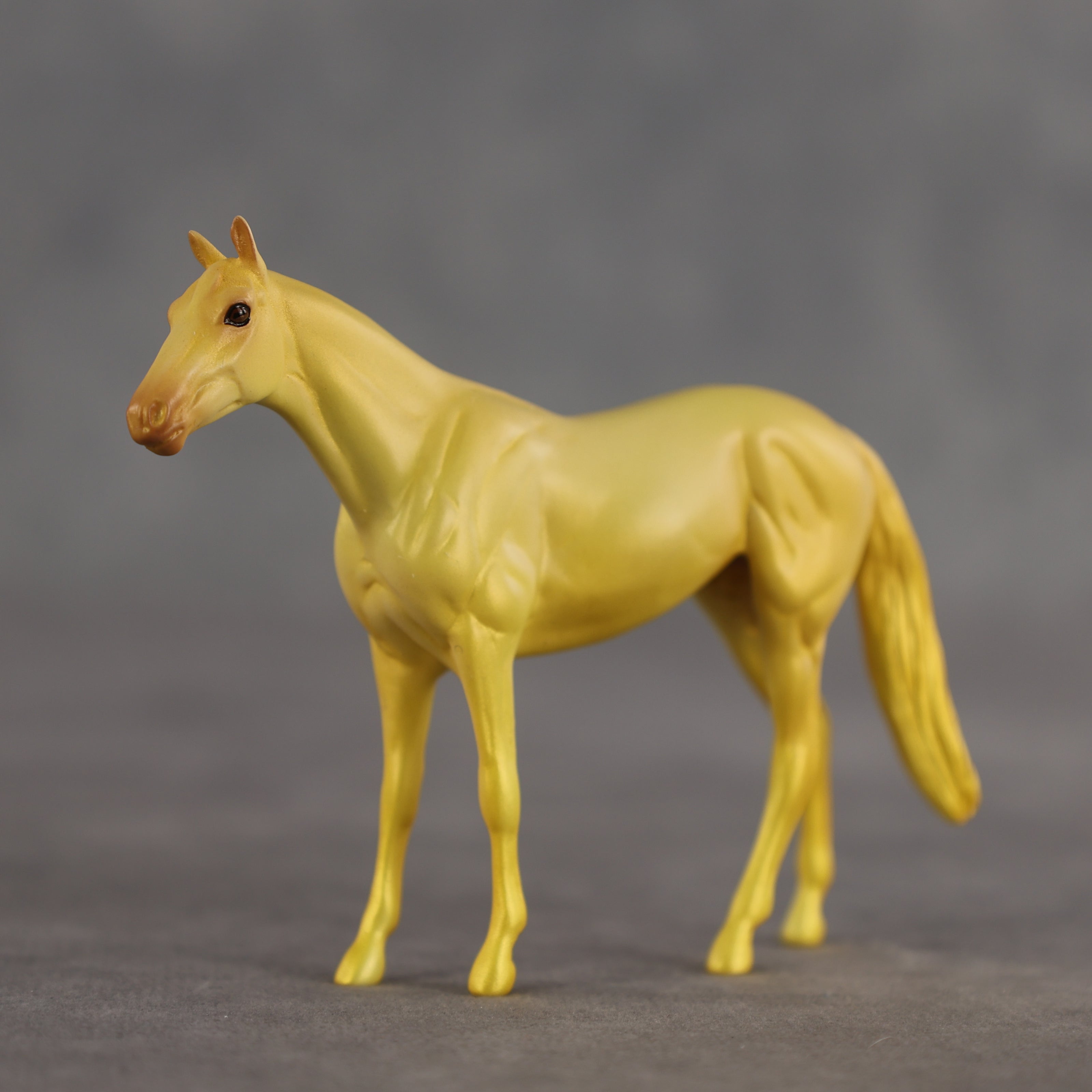 Coconut Pineapple OOAK Chip Thoroughbred by Alex Fortman SCD26
