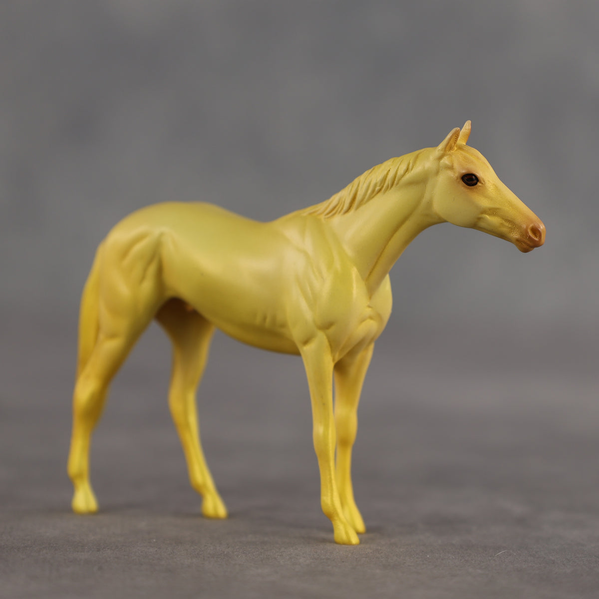 Coconut Pineapple OOAK Chip Thoroughbred by Alex Fortman SCD26