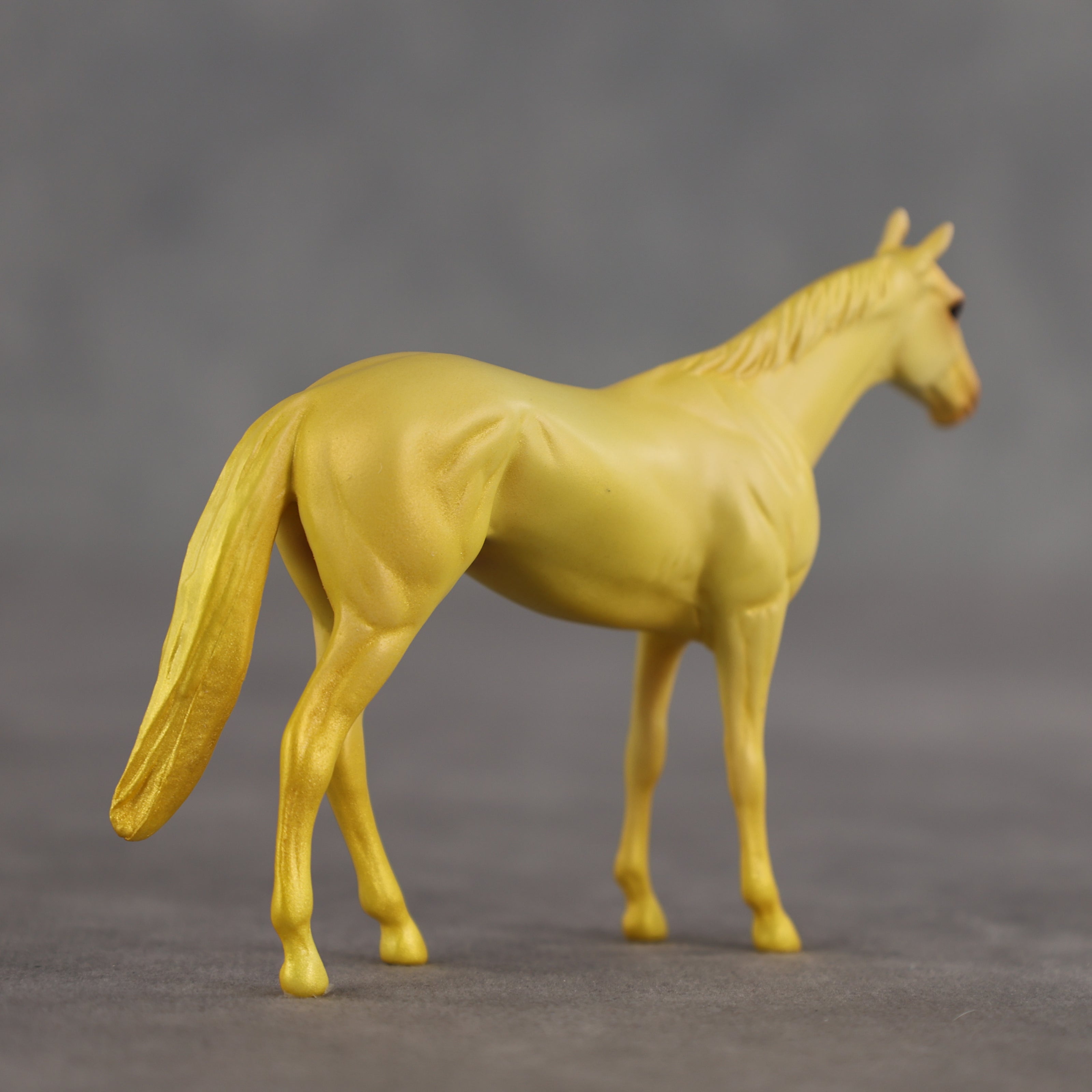 Coconut Pineapple OOAK Chip Thoroughbred by Alex Fortman SCD26