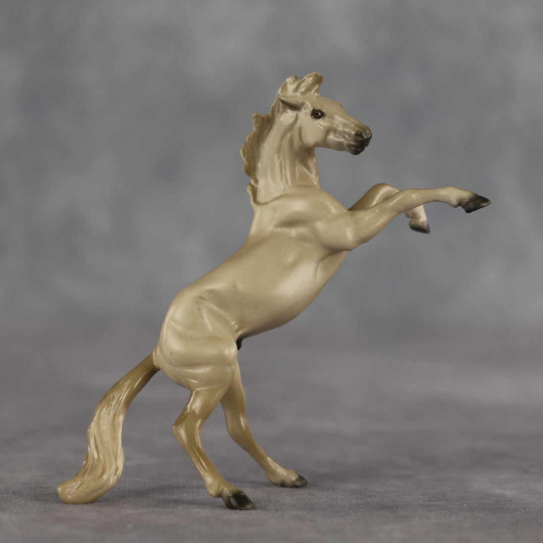 Coffee OOAK Chip Mustang by Dawn Quick SCD26