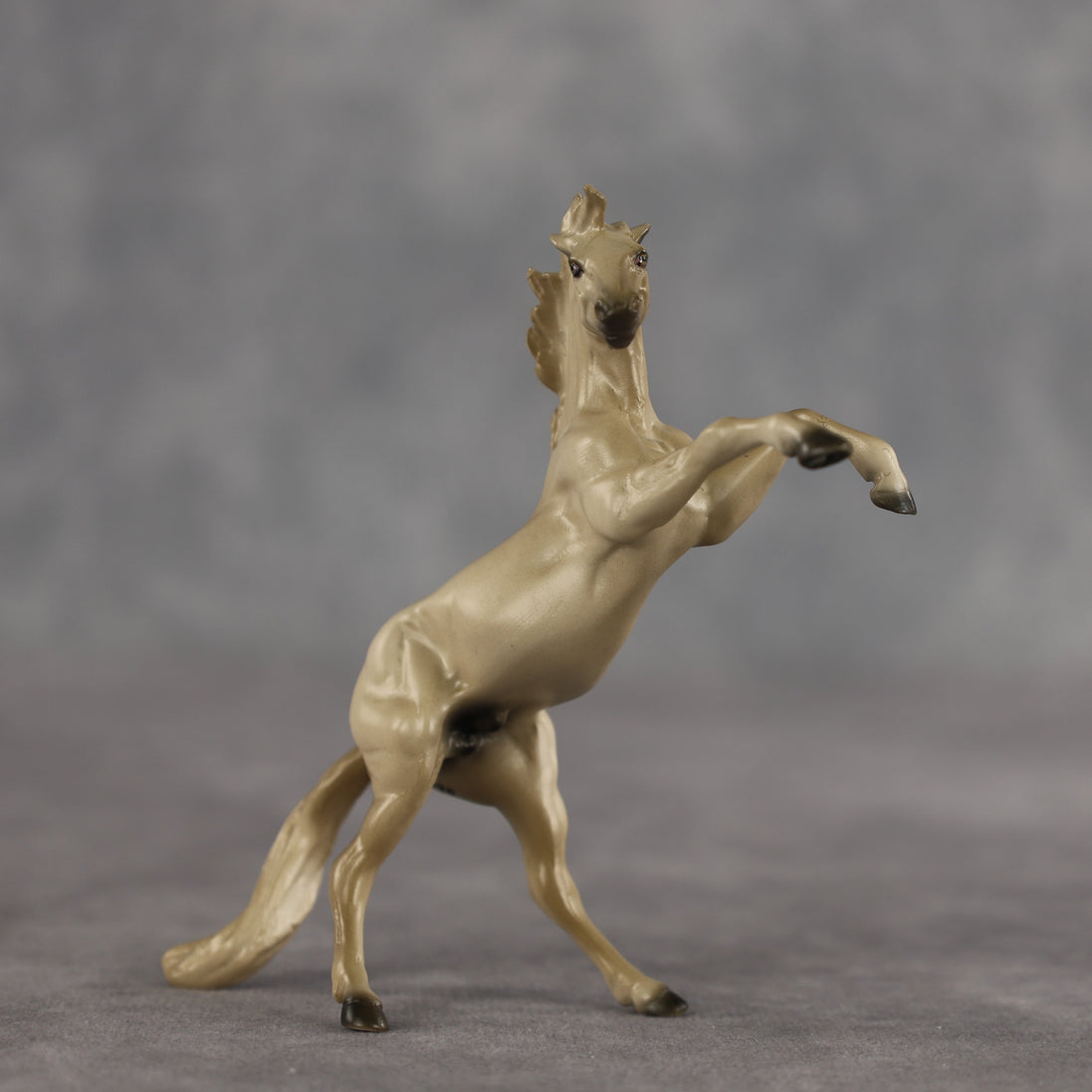Coffee OOAK Chip Mustang by Dawn Quick SCD26