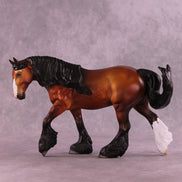 Cola OOAK FCM Irish Cob by Jess Hamill HS25