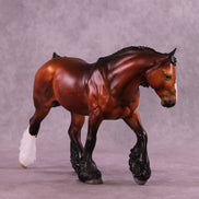 Cola OOAK FCM Irish Cob by Jess Hamill HS25
