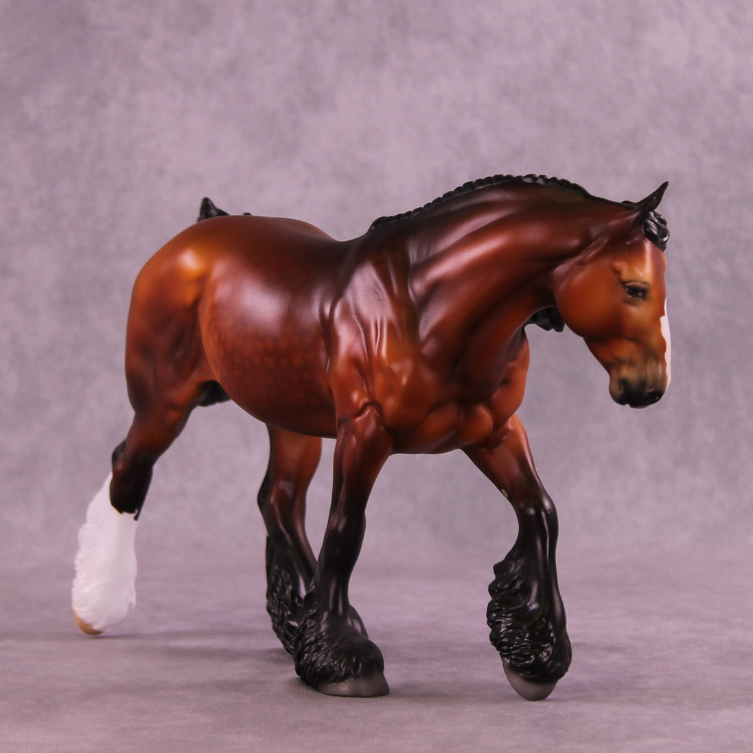 Cola OOAK FCM Irish Cob by Jess Hamill HS25
