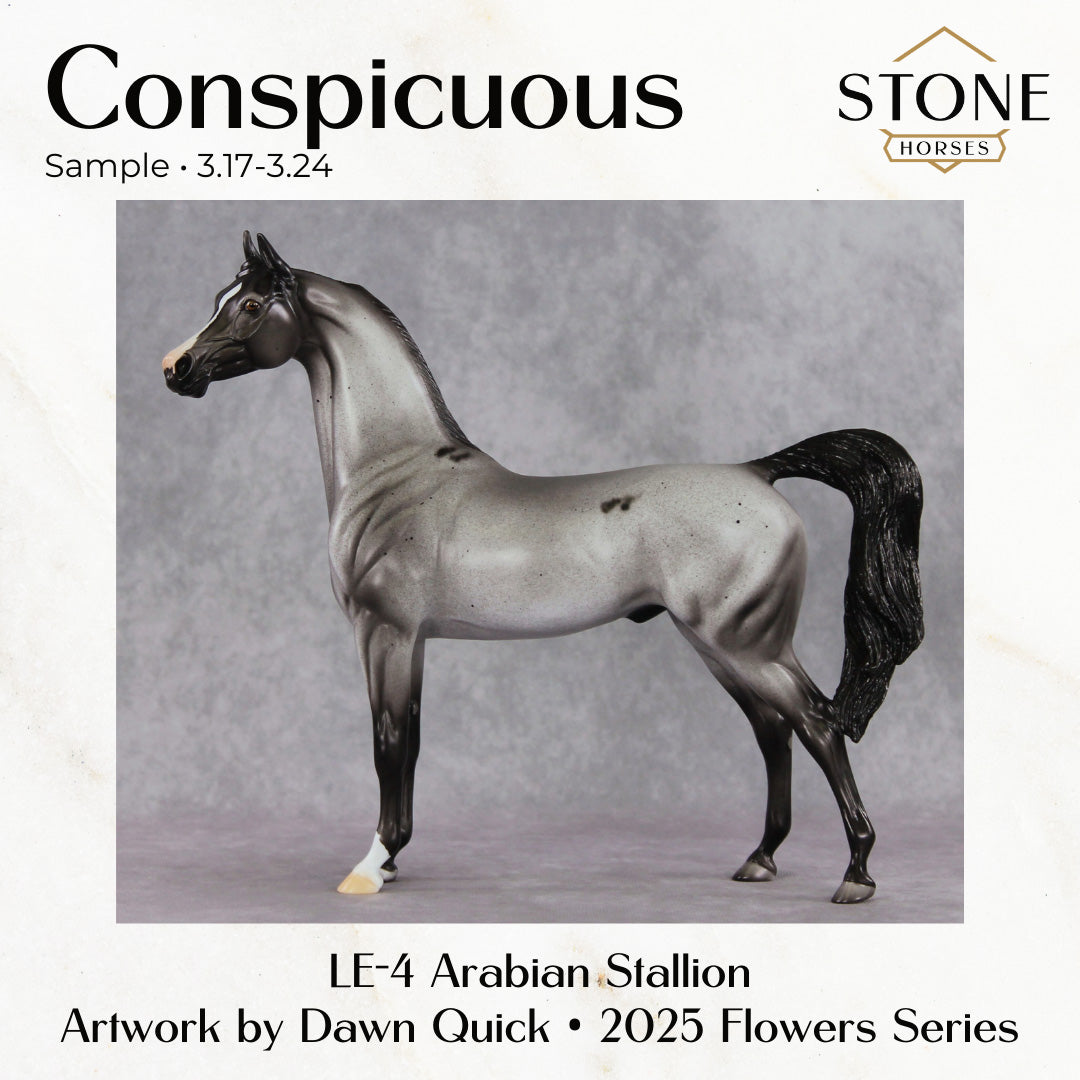 SAMPLE Conspicuous  LE-4 Arabian Stallion by Dawn Quick SS0326