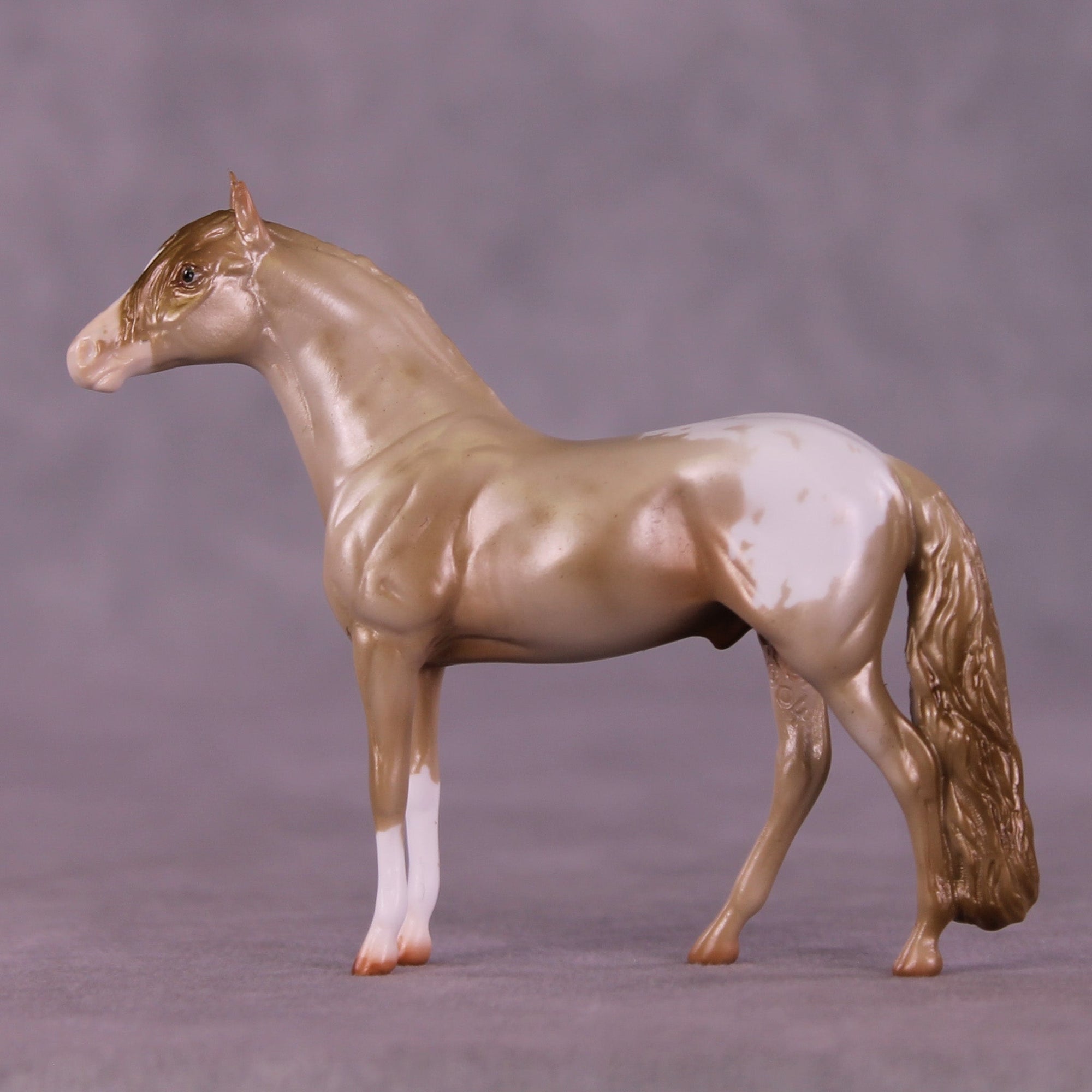 Cookie Crumbs OOAK Chip Andalusian by Erin Corbett MM25 Group B