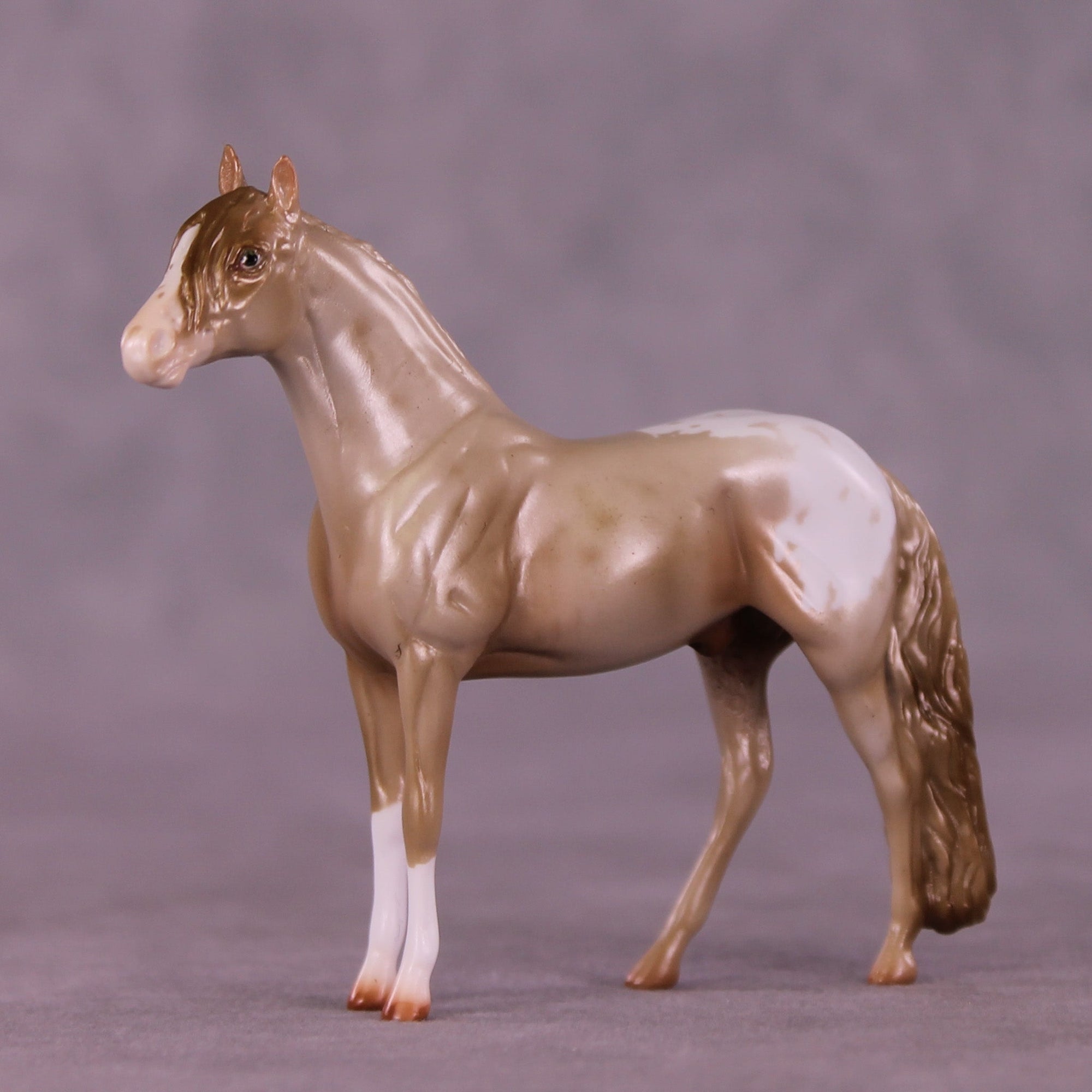 Cookie Crumbs OOAK Chip Andalusian by Erin Corbett MM25 Group B