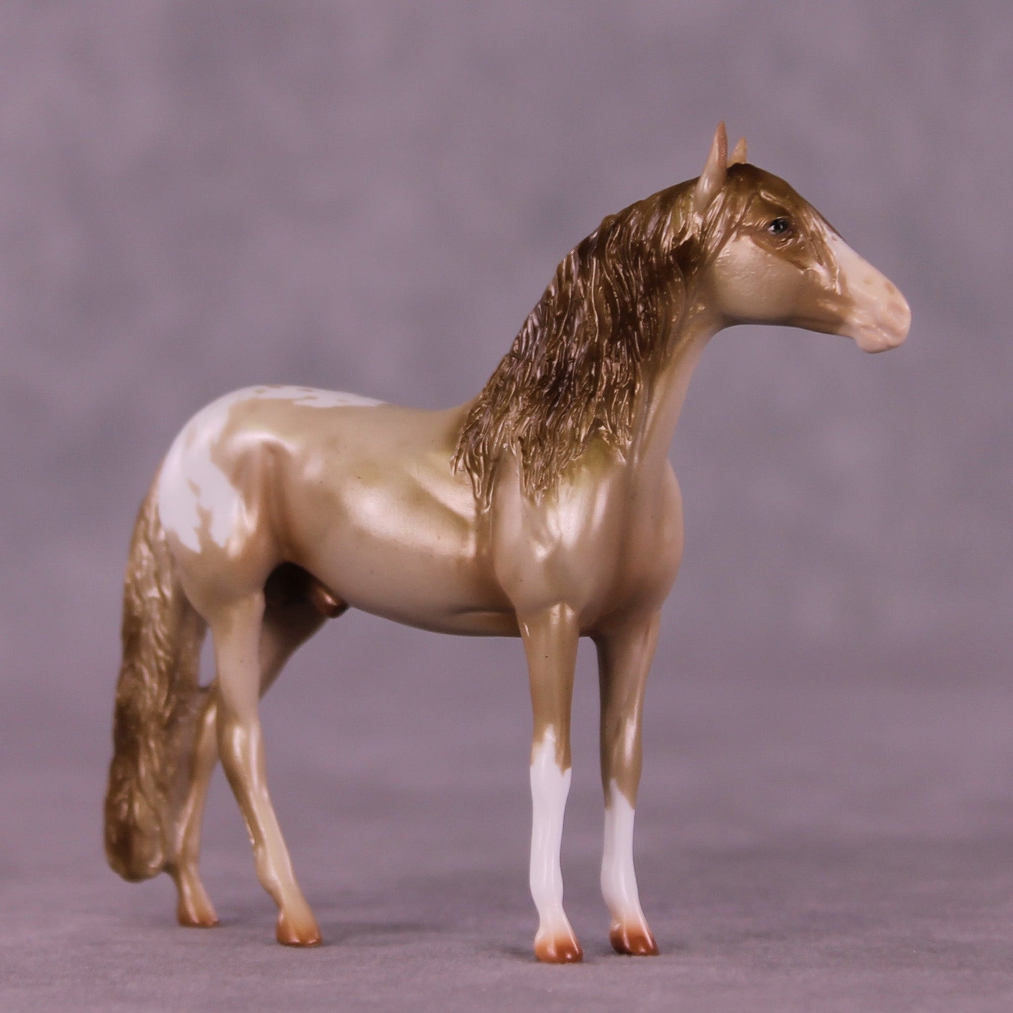 Cookie Crumbs OOAK Chip Andalusian by Erin Corbett MM25 Group B