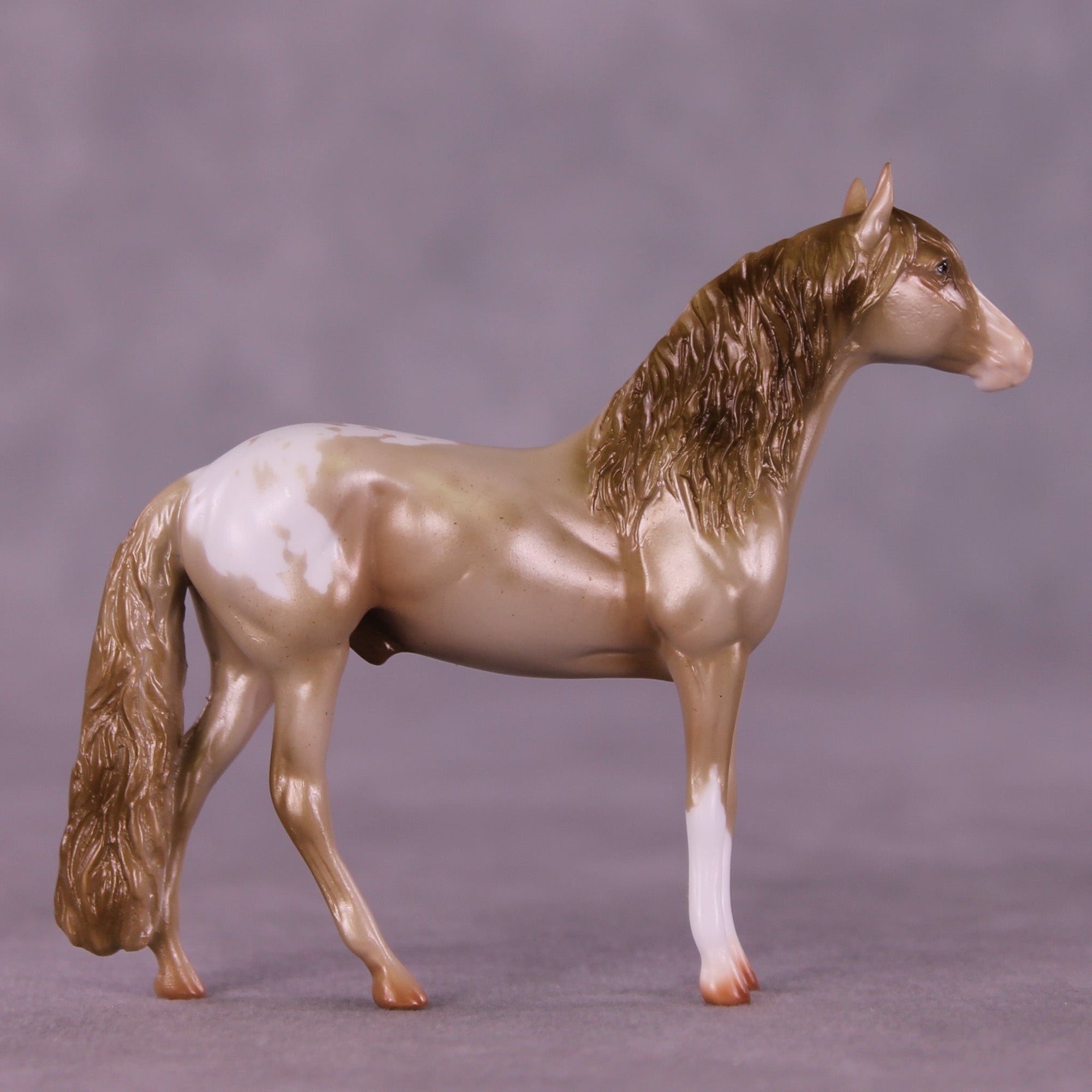 Cookie Crumbs OOAK Chip Andalusian by Erin Corbett MM25 Group B