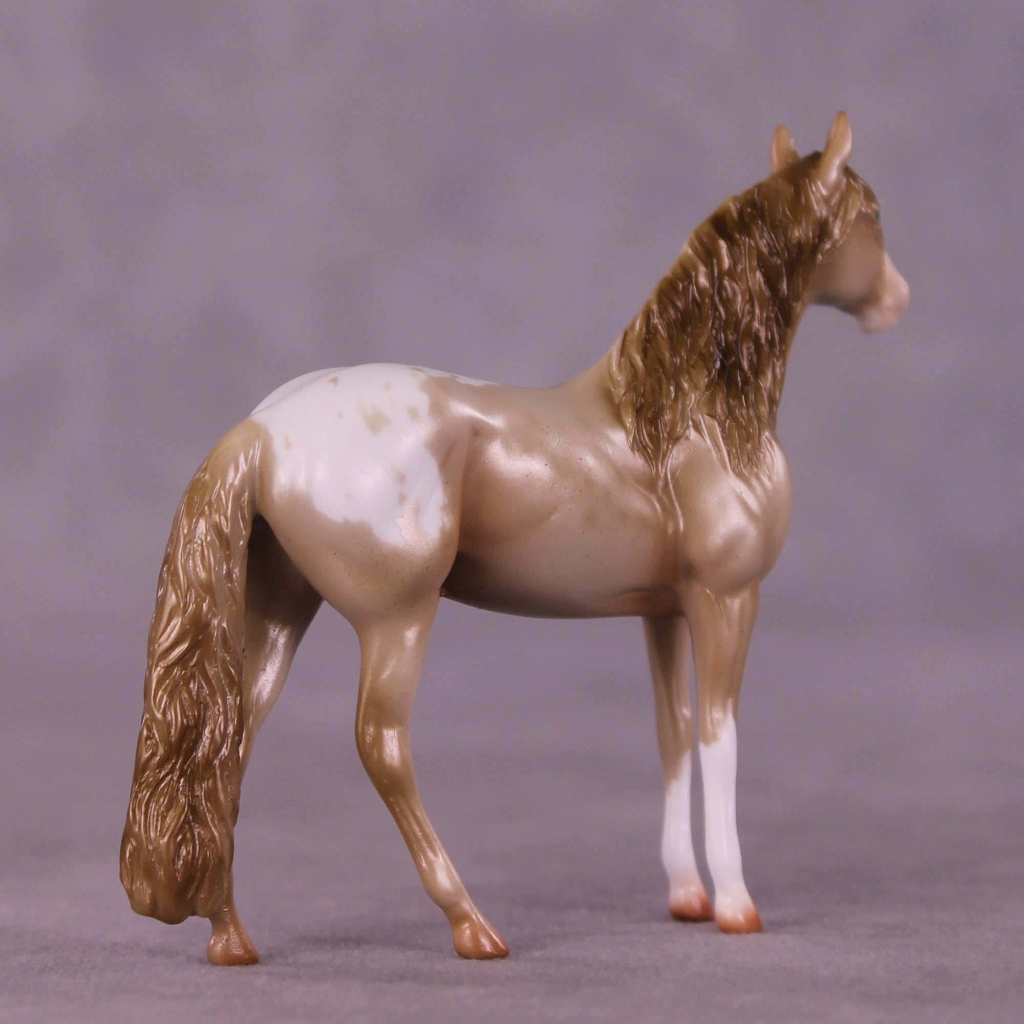 Cookie Crumbs OOAK Chip Andalusian by Erin Corbett MM25 Group B