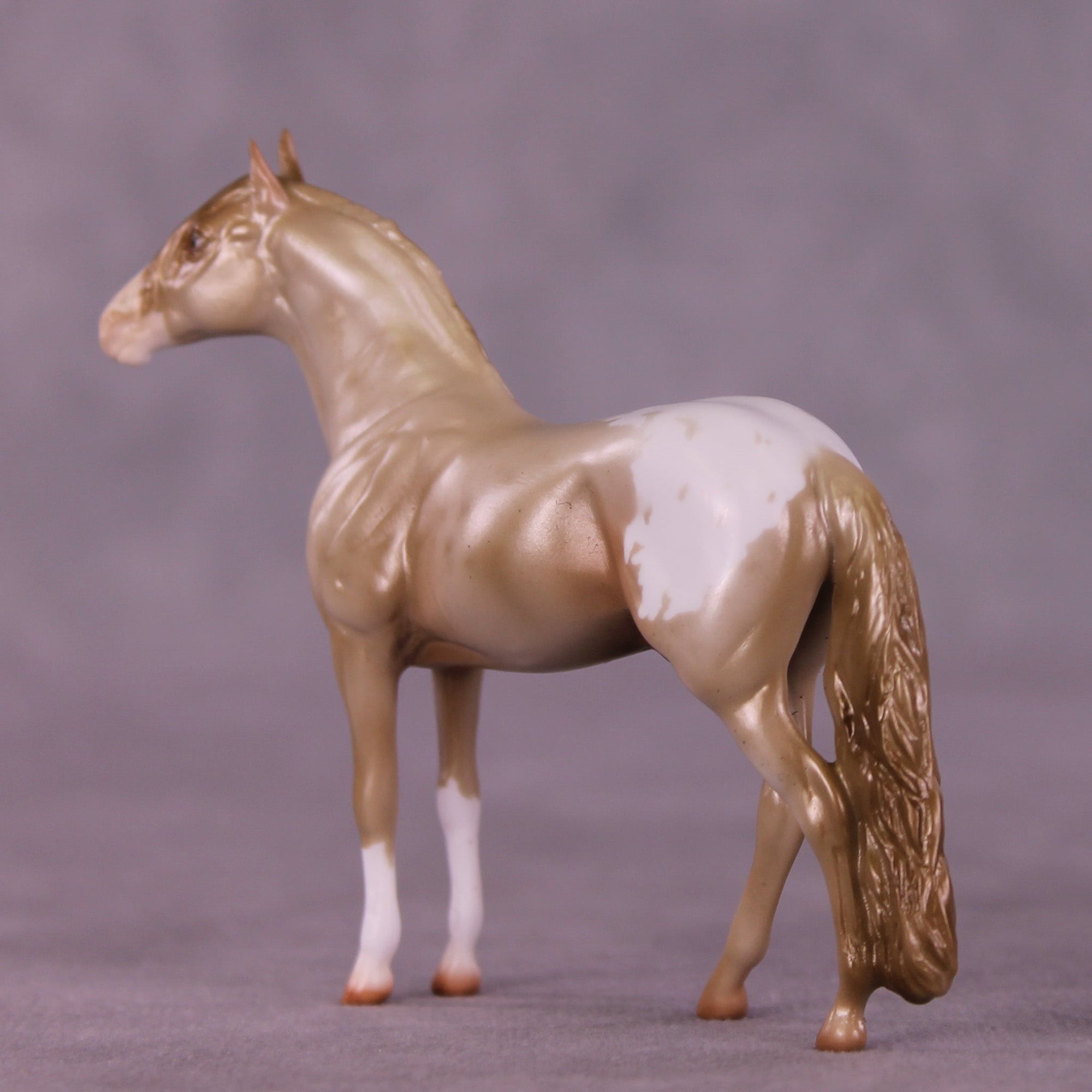 Cookie Crumbs OOAK Chip Andalusian by Erin Corbett MM25 Group B