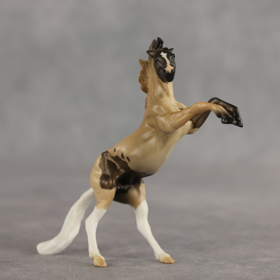Cookie Dough OOAK Chip Mustang by Alex Fortman SCD26