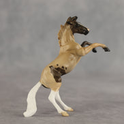 Cookie Dough OOAK Chip Mustang by Alex Fortman SCD26