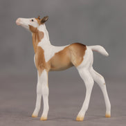 Coordinates OOAK Chip Foal by Ellen Robbins SHCF26