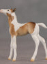 Coordinates OOAK Chip Foal by Ellen Robbins SHCF26
