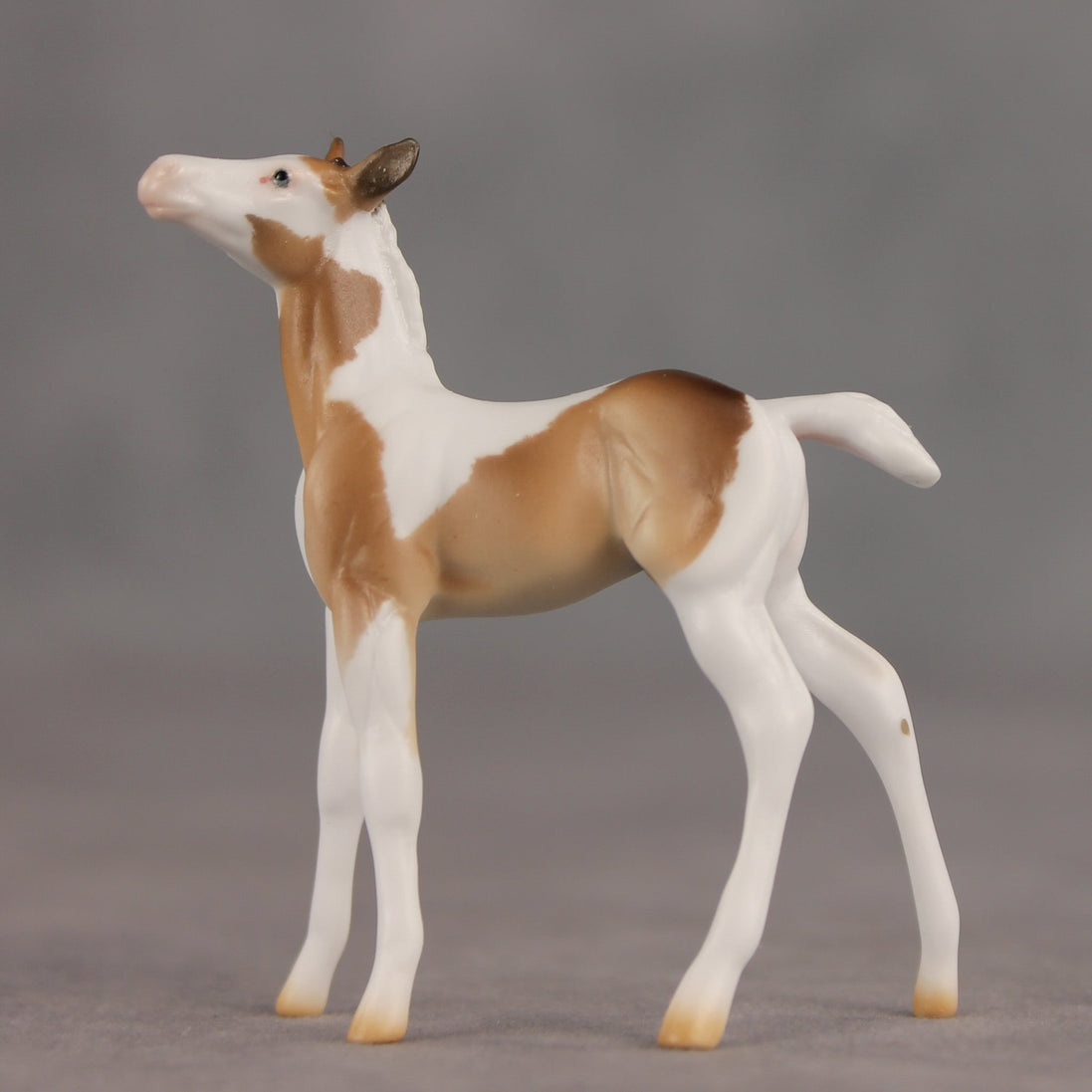 Coordinates OOAK Chip Foal by Ellen Robbins SHCF26