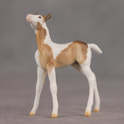 Coordinates OOAK Chip Foal by Ellen Robbins SHCF26