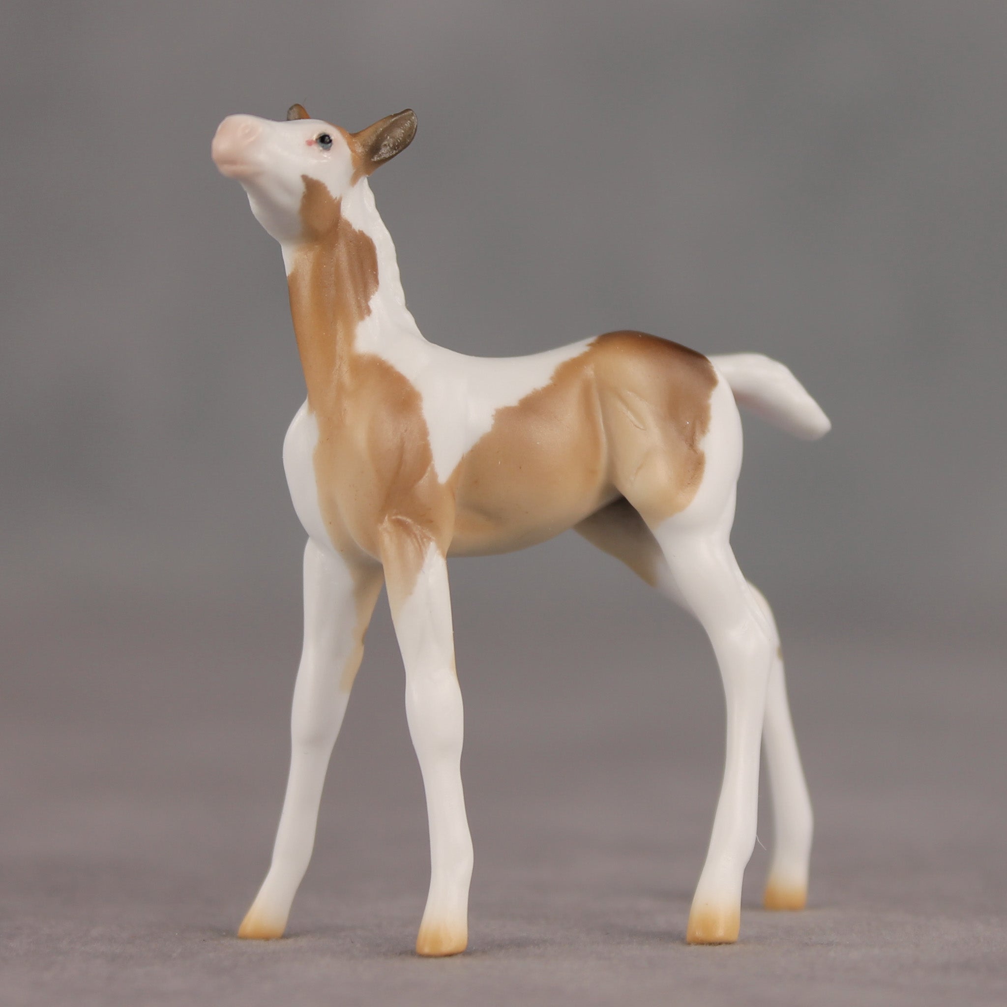 Coordinates OOAK Chip Foal by Ellen Robbins SHCF26