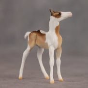 Coordinates OOAK Chip Foal by Ellen Robbins SHCF26