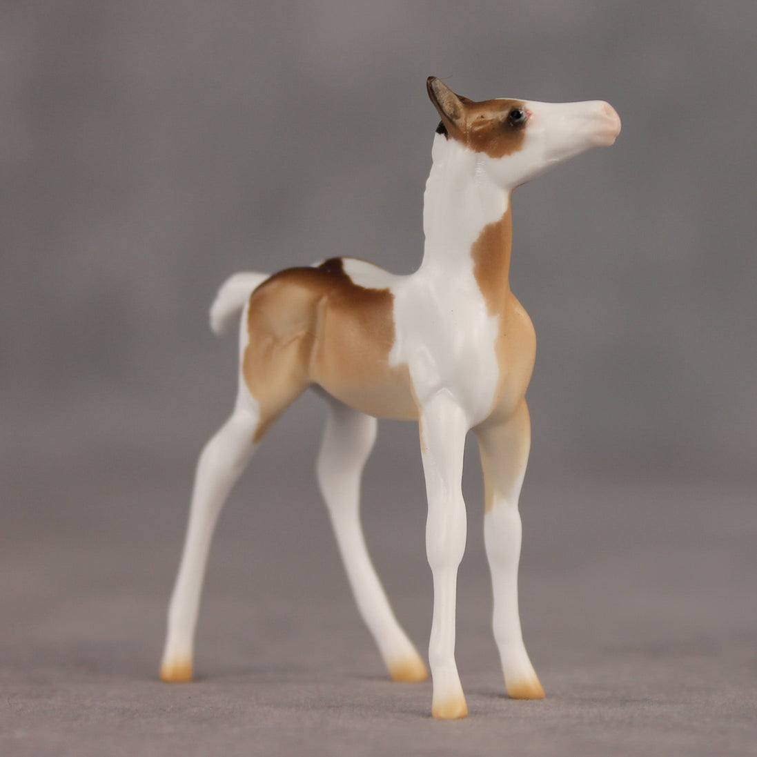Coordinates OOAK Chip Foal by Ellen Robbins SHCF26