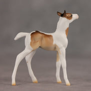 Coordinates OOAK Chip Foal by Ellen Robbins SHCF26