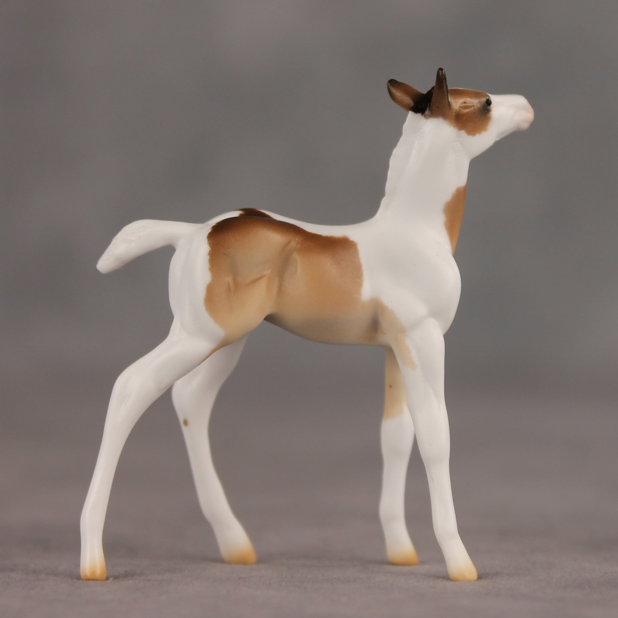Coordinates OOAK Chip Foal by Ellen Robbins SHCF26
