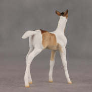 Coordinates OOAK Chip Foal by Ellen Robbins SHCF26