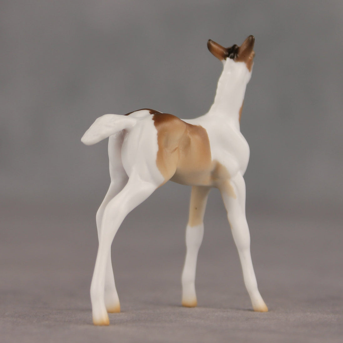 Coordinates OOAK Chip Foal by Ellen Robbins SHCF26