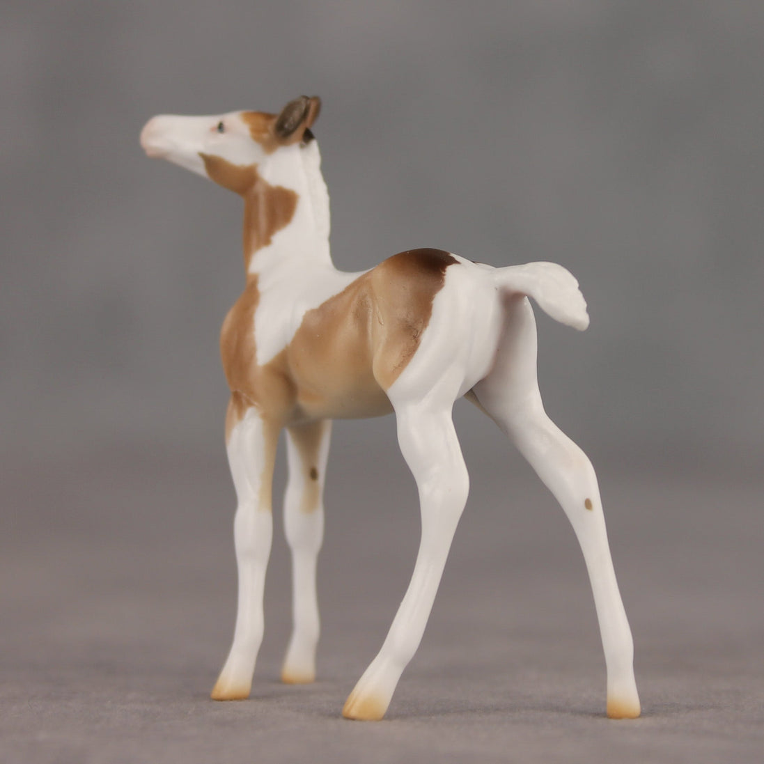 Coordinates OOAK Chip Foal by Ellen Robbins SHCF26