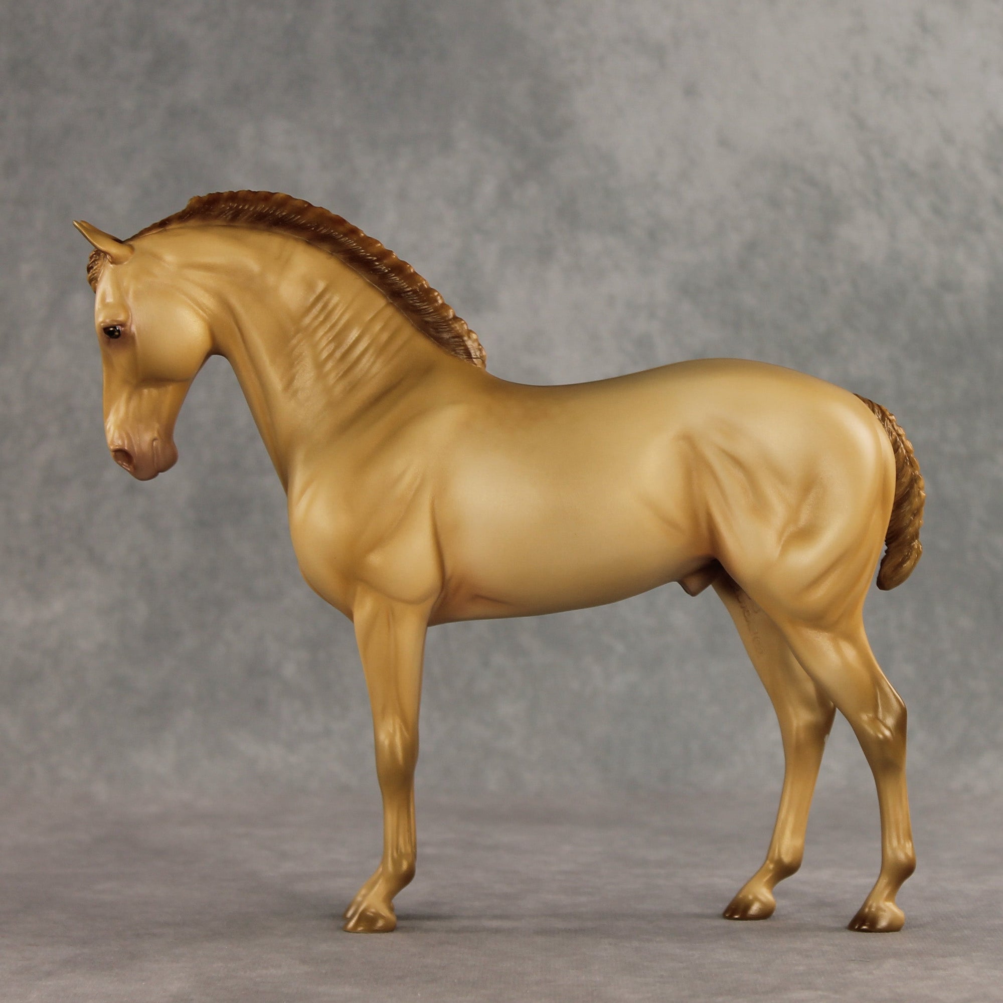 SAMPLE Corazón Dorado LE-15 FCM Andalusian by Ashley Palmer SS0826