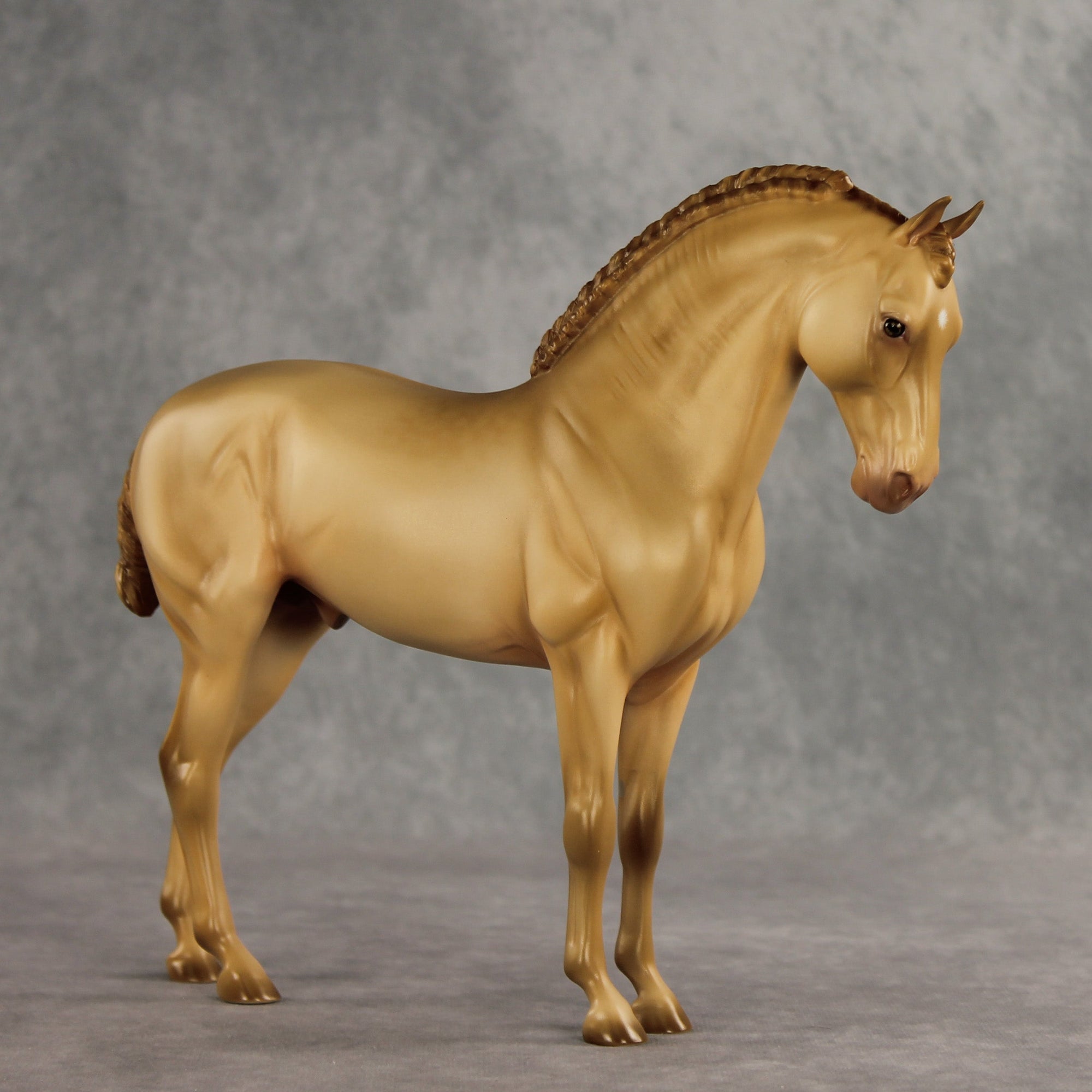 SAMPLE Corazón Dorado LE-15 FCM Andalusian by Ashley Palmer SS0826