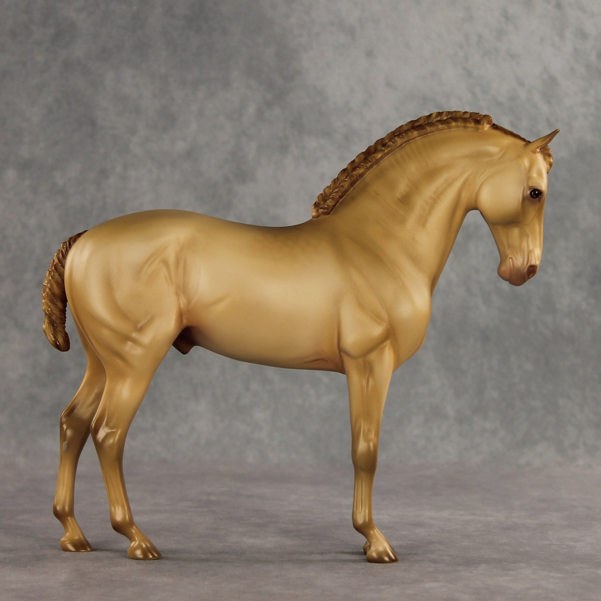 SAMPLE Corazón Dorado LE-15 FCM Andalusian by Ashley Palmer SS0826