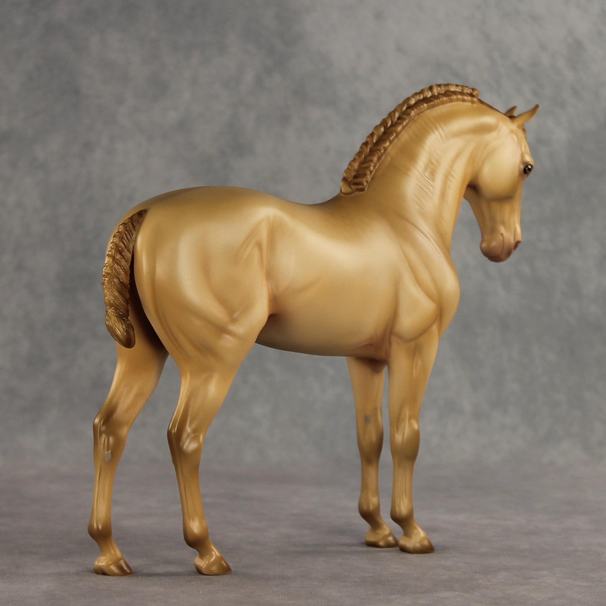 SAMPLE Corazón Dorado LE-15 FCM Andalusian by Ashley Palmer SS0826