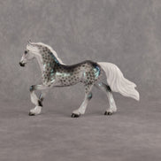 Cor Caroli OOAK Chip Friesian by Ellen Robbins SCD26