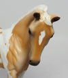 PALOMINO
