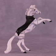 Count Tack-ula OOAK Chip Mustang by Dawn Quick VV26