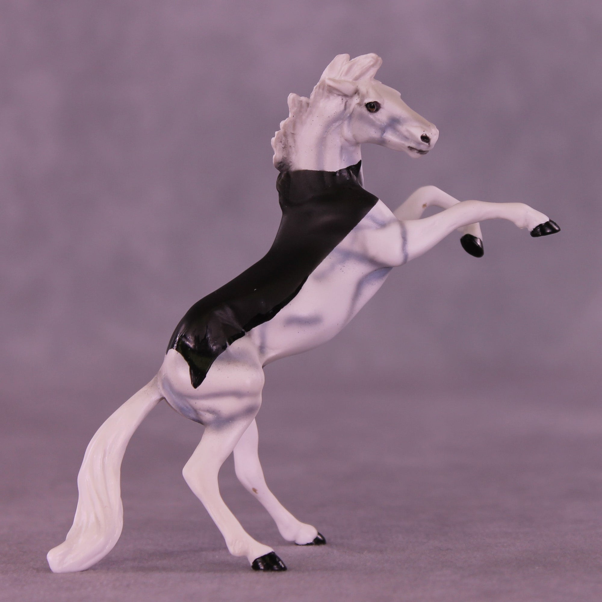 Count Tack-ula OOAK Chip Mustang by Dawn Quick VV26