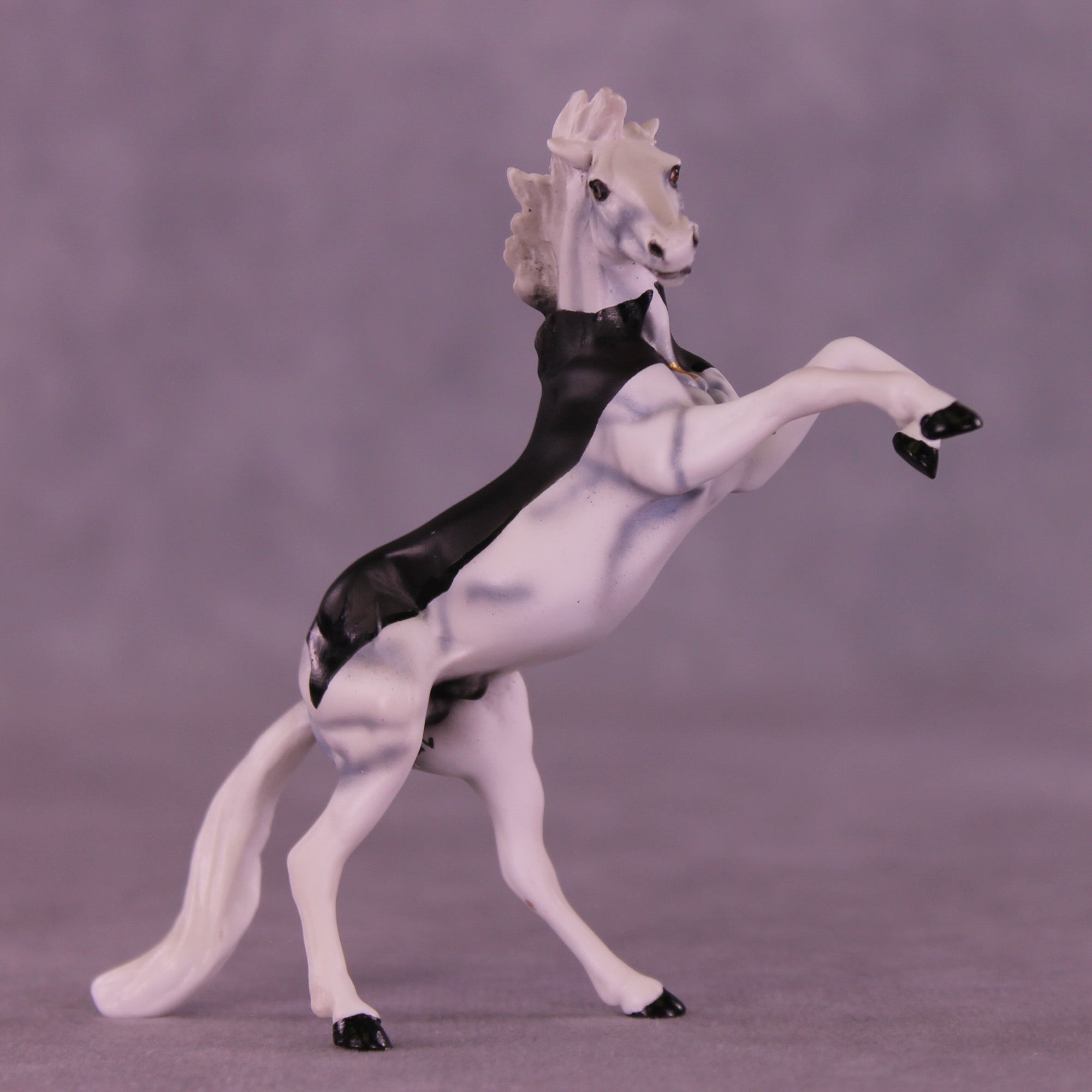 Count Tack-ula OOAK Chip Mustang by Dawn Quick VV26