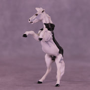 Count Tack-ula OOAK Chip Mustang by Dawn Quick VV26