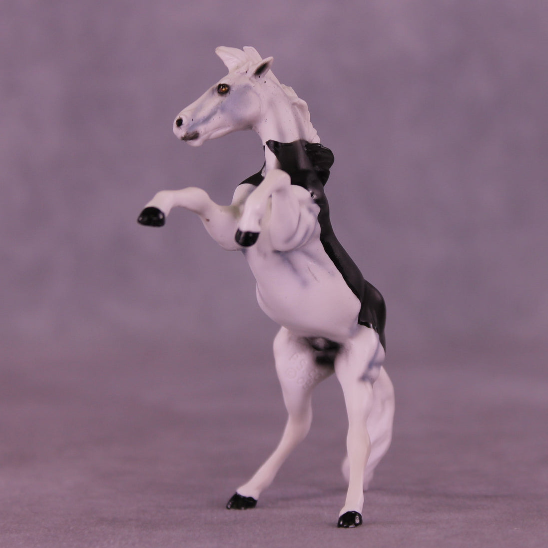 Count Tack-ula OOAK Chip Mustang by Dawn Quick VV26