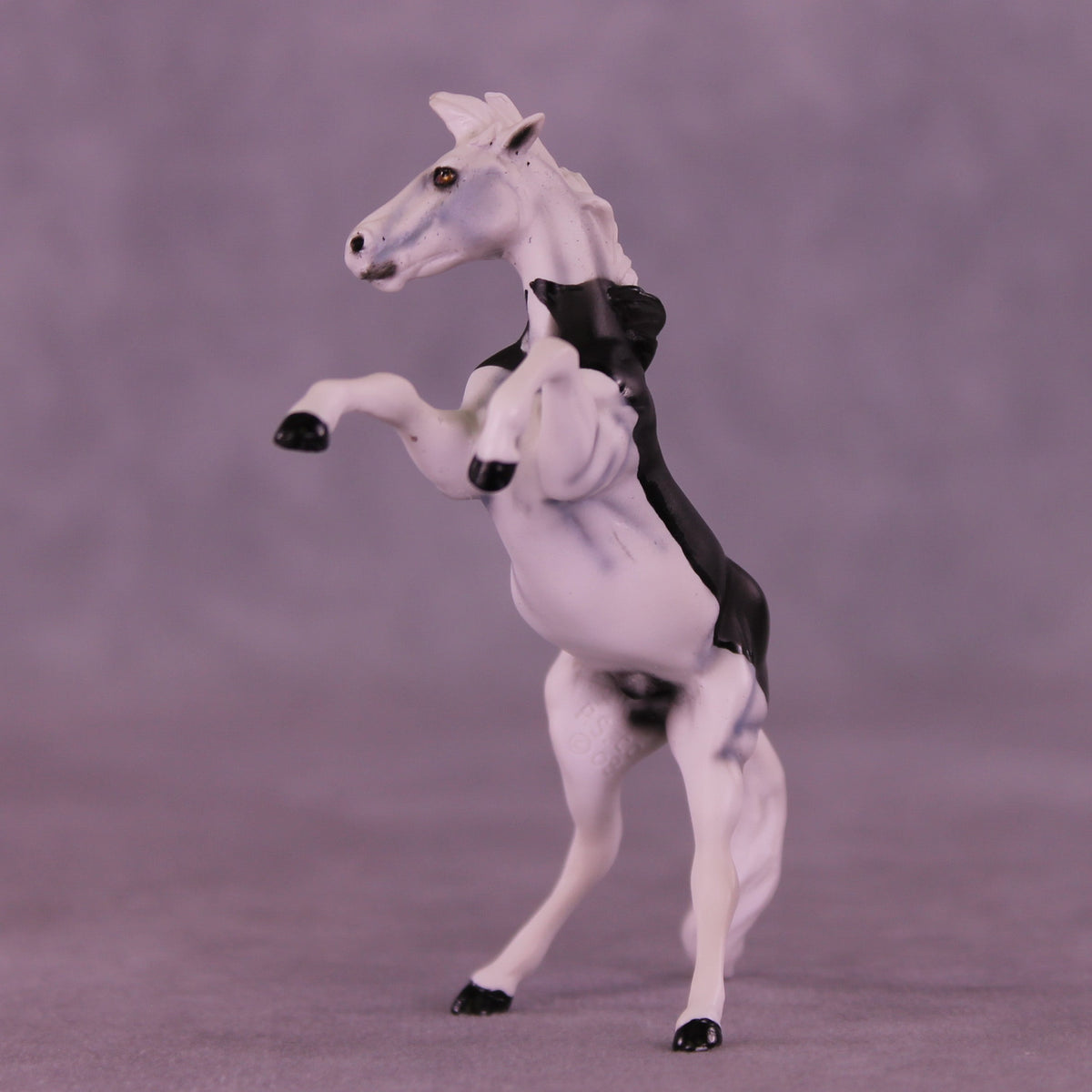 Count Tack-ula OOAK Chip Mustang by Dawn Quick VV26