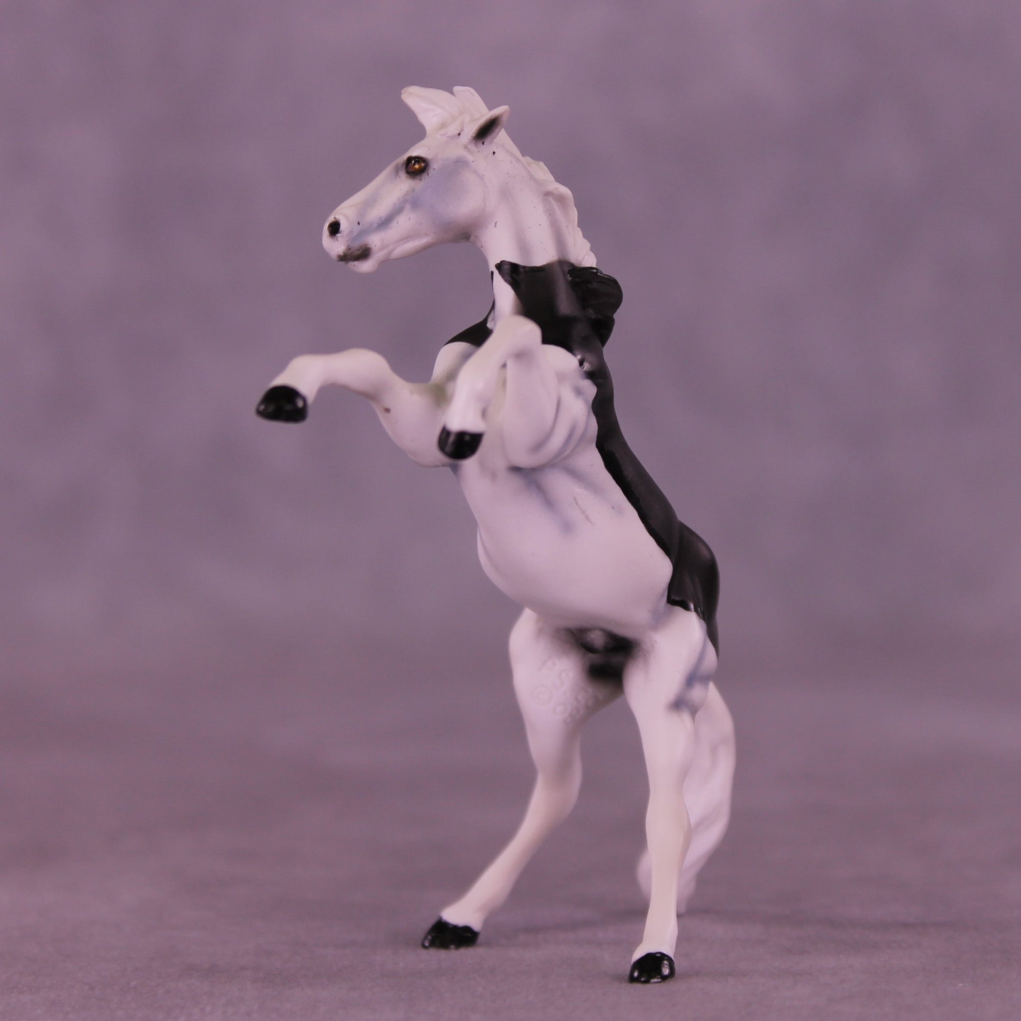 Count Tack-ula OOAK Chip Mustang by Dawn Quick VV26