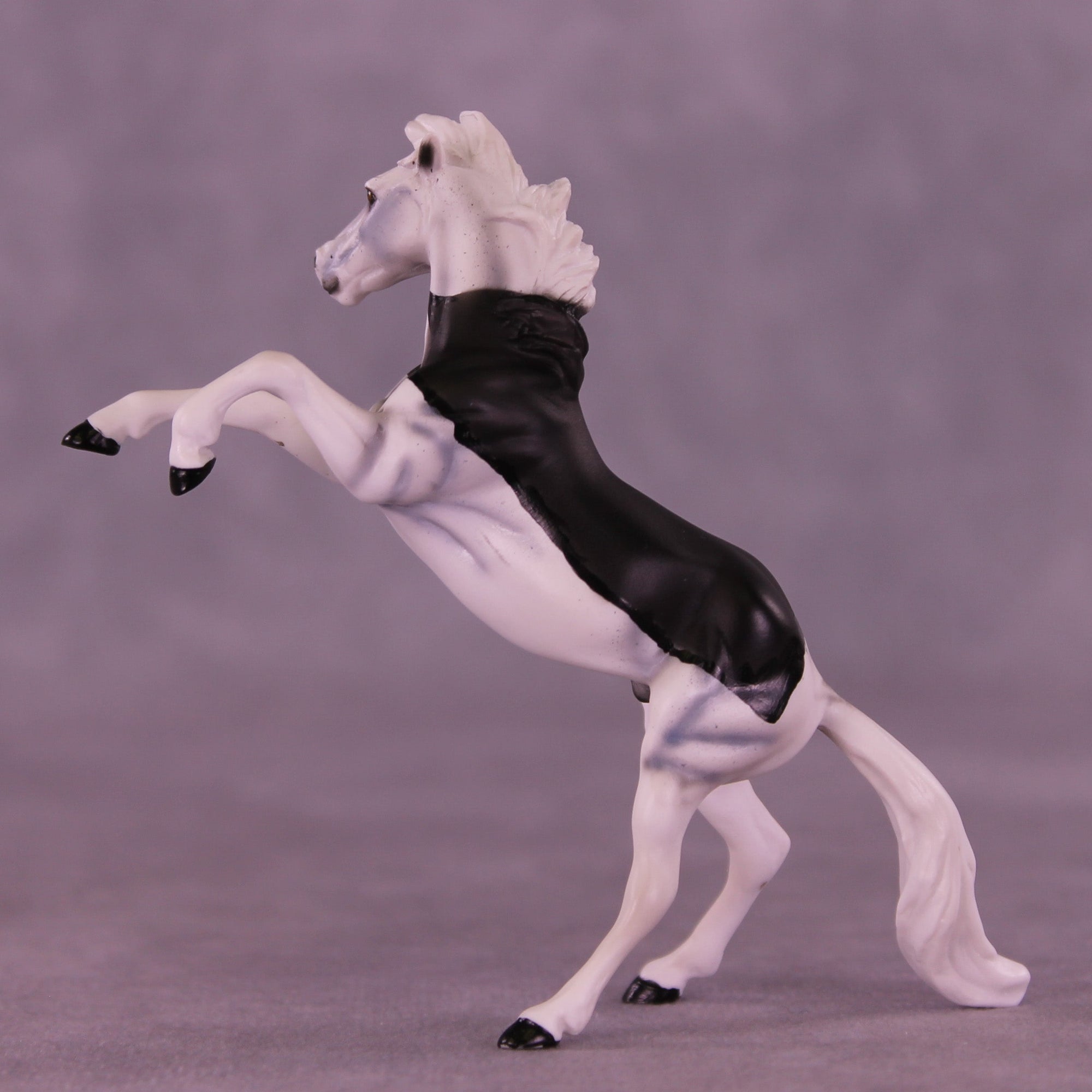 Count Tack-ula OOAK Chip Mustang by Dawn Quick VV26