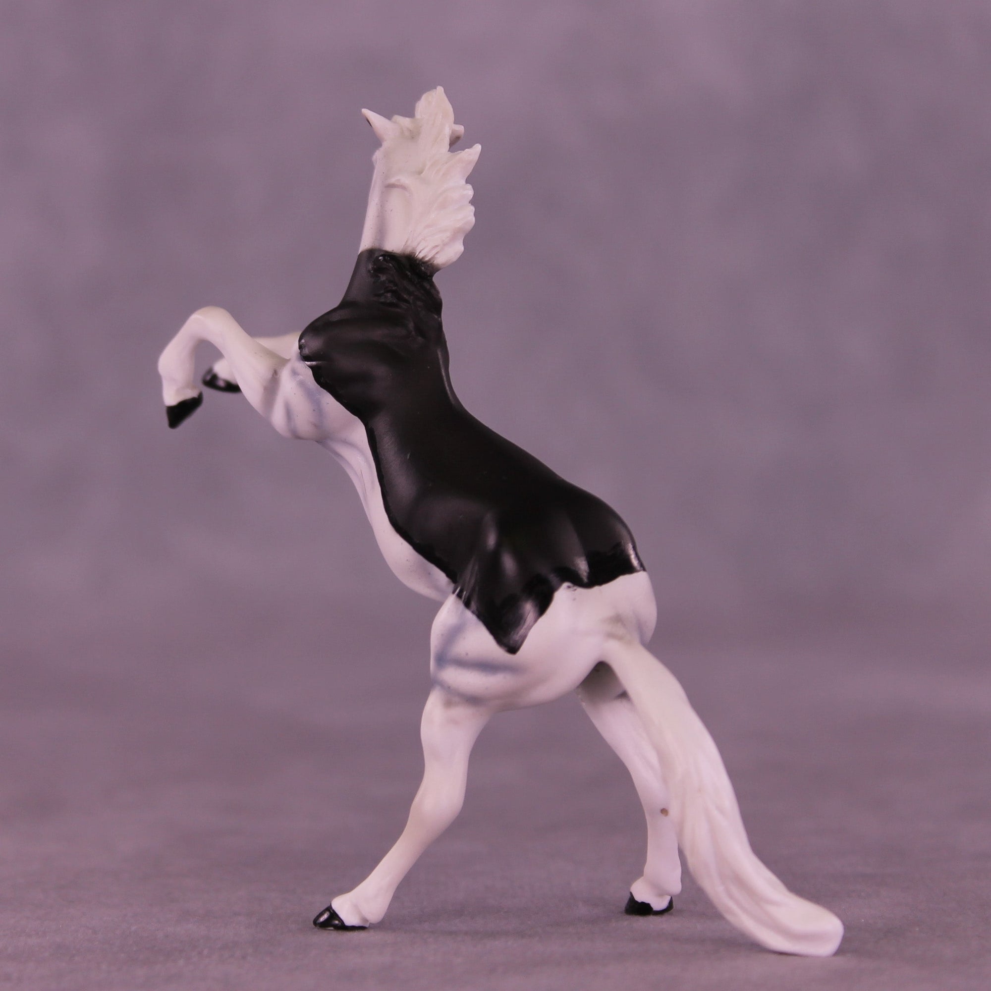 Count Tack-ula OOAK Chip Mustang by Dawn Quick VV26