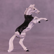 Count Tack-ula OOAK Chip Mustang by Dawn Quick VV26